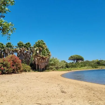 Luxueux T4 De 100m2 Avec Roof Top, Piscine Et Apartmán Pianottoli-Caldarello (Corsica)