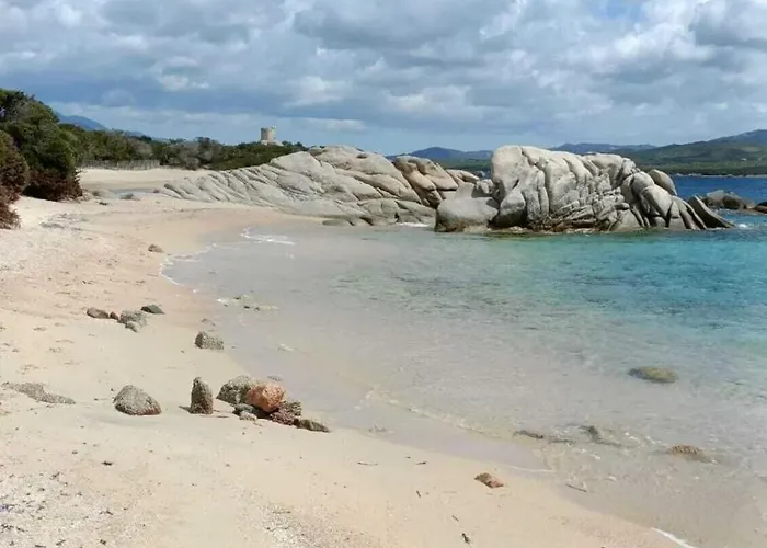 דירה Luxueux T4 De 100m2 Avec Roof Top, Piscine Et